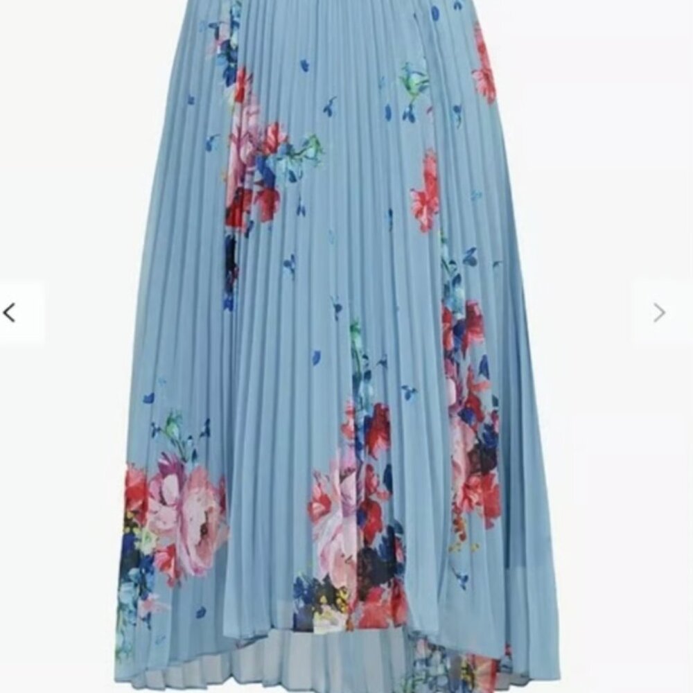 Ted Baker Harrpa Raspberry Ripple Pleated Midi skirt light blue US size 6